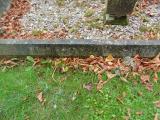 image of grave number 583280